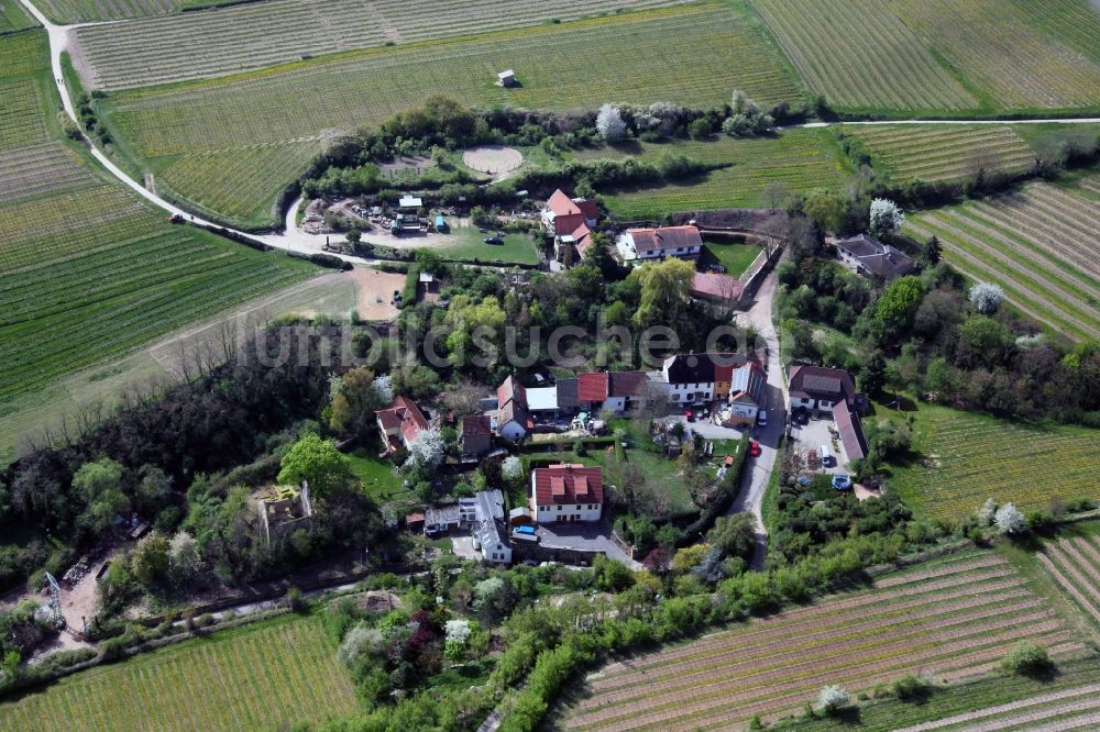 Luftaufnahme Alsheim - Ortsansicht vom Alsheimer OT Hangen-Wahlheim in der Verbandsgemeinde Eich im Bundesland Rheinland-Pfalz