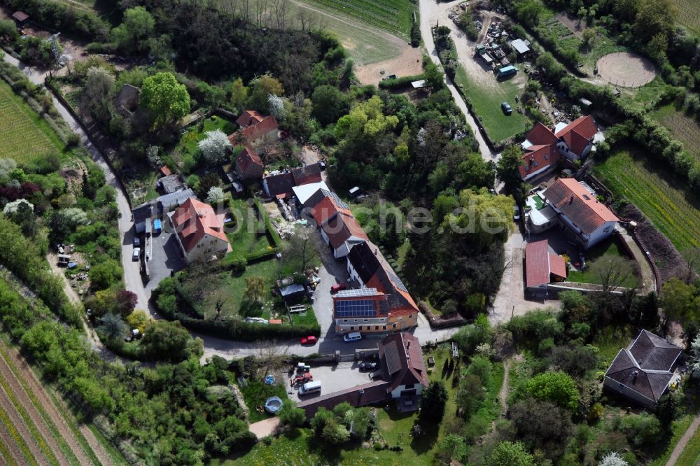 Alsheim aus der Vogelperspektive: Ortsansicht vom Alsheimer OT Hangen-Wahlheim in der Verbandsgemeinde Eich im Bundesland Rheinland-Pfalz