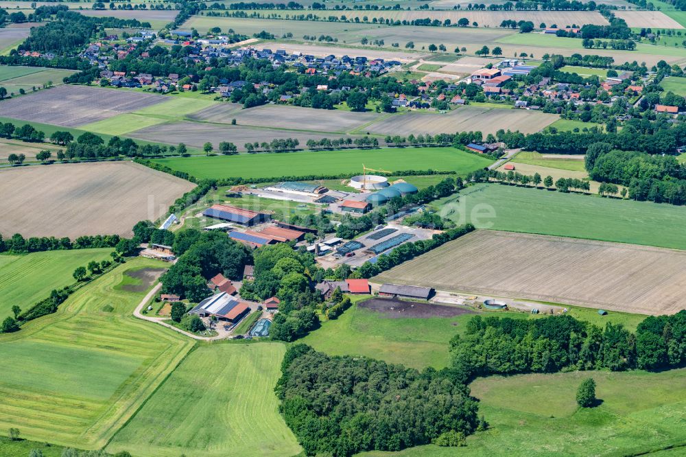 Bargstedt von oben - Ortsansicht in Bargstedt im Bundesland Niedersachsen, Deutschland