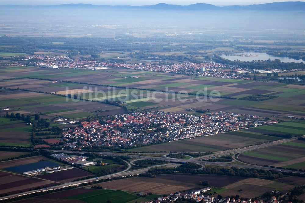 Luftbild Beindersheim - Ortsansicht in Beindersheim im Bundesland Rheinland-Pfalz