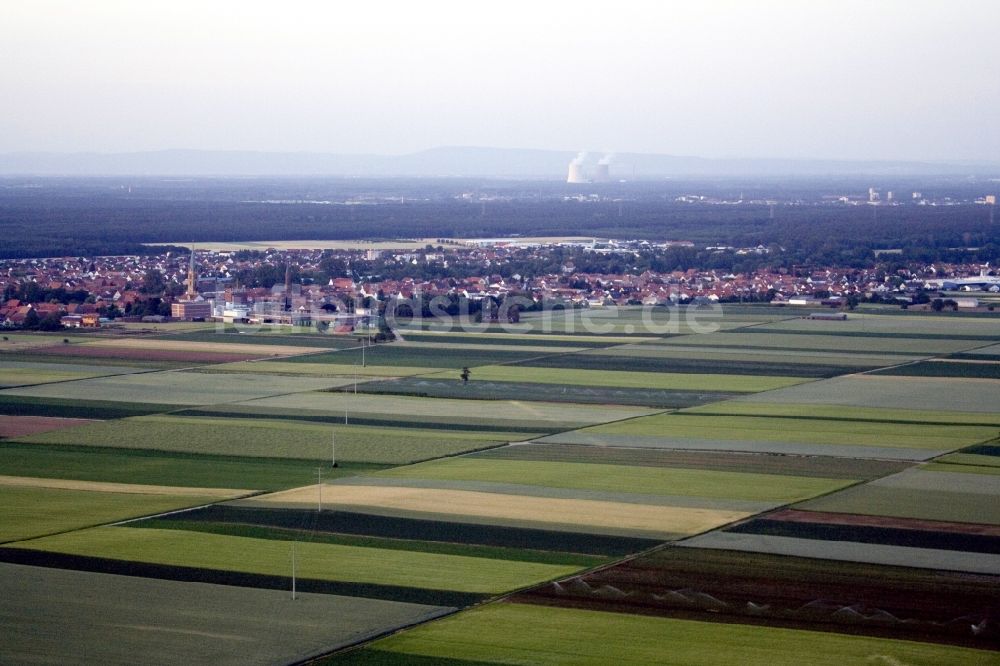 Bellheim aus der Vogelperspektive: Ortsansicht in Bellheim im Bundesland Rheinland-Pfalz