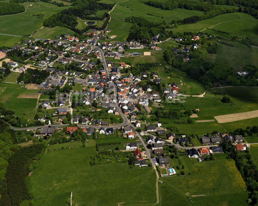 Luftbild Berg - Ortsansicht von Berg im Bundesland Rheinland-Pfalz