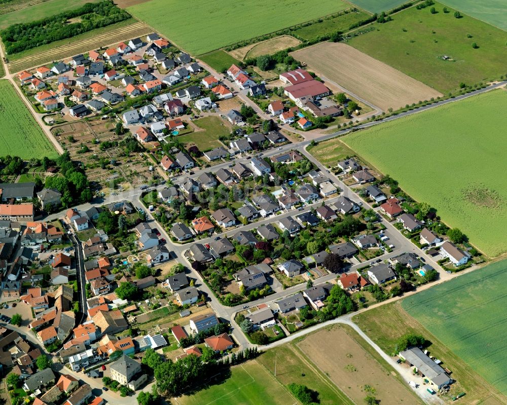 Biebelsheim aus der Vogelperspektive: Ortsansicht von Biebelsheim im Bundesland Rheinland-Pfalz