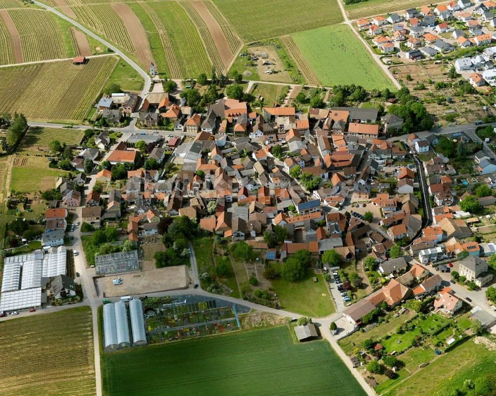 Luftbild Biebelsheim - Ortsansicht von Biebelsheim im Bundesland Rheinland-Pfalz