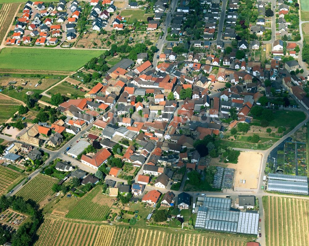 Biebelsheim von oben - Ortsansicht von Biebelsheim im Bundesland Rheinland-Pfalz