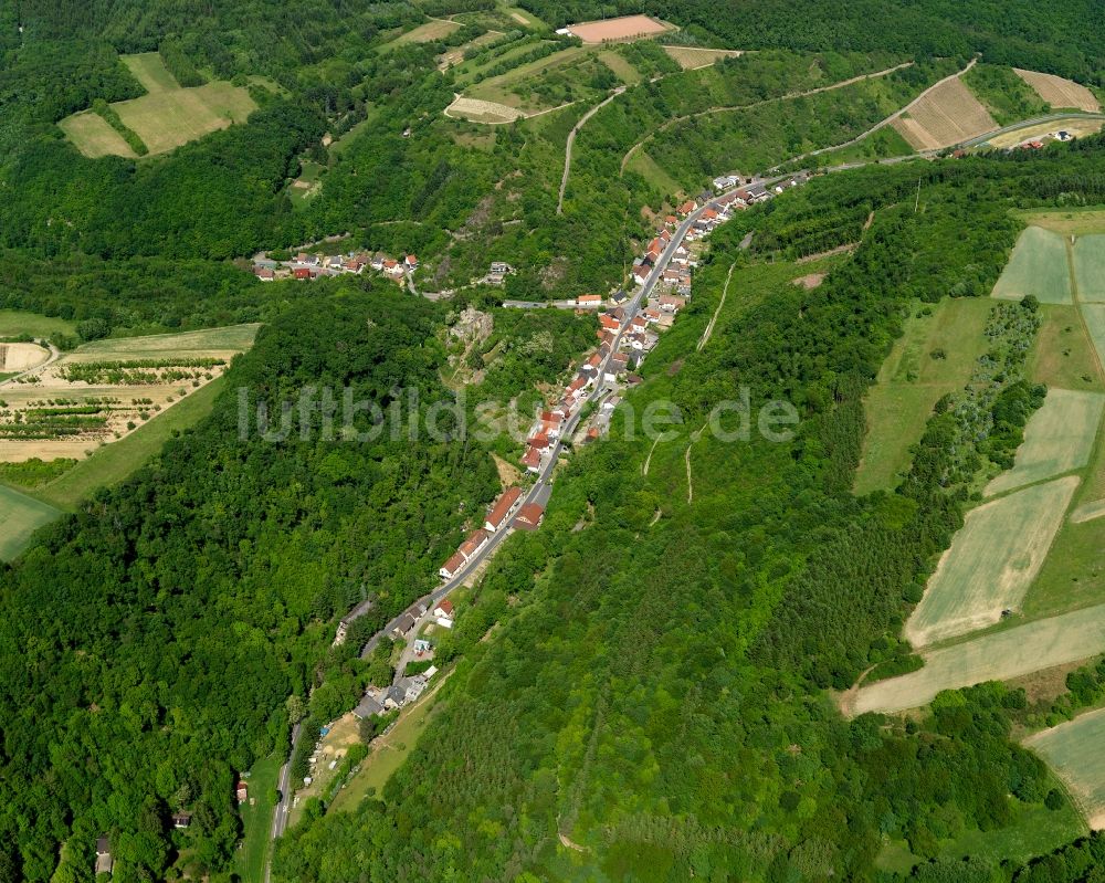 Luftaufnahme Dalberg - Ortsansicht von Dalberg im Bundesland Rheinland-Pfalz