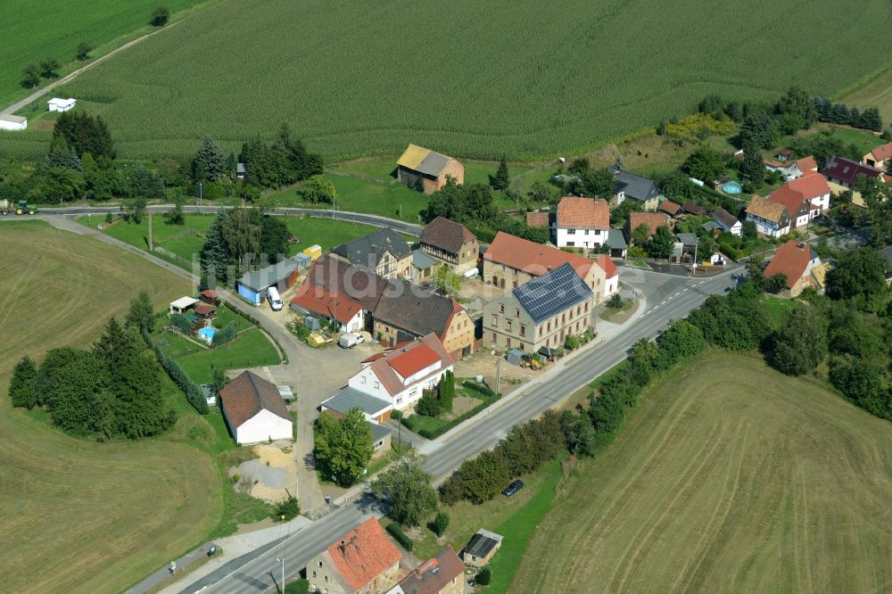 Luftbild Pflug - Ortsansicht des Dorfes Pflug im Bundesland Sachsen