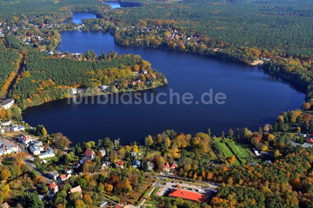 Grünheide von oben - Ortsansicht Einfamilienhaus - Wohngebiete am Ufer des Werlsee in Grünheide im Bundesland Brandenburg