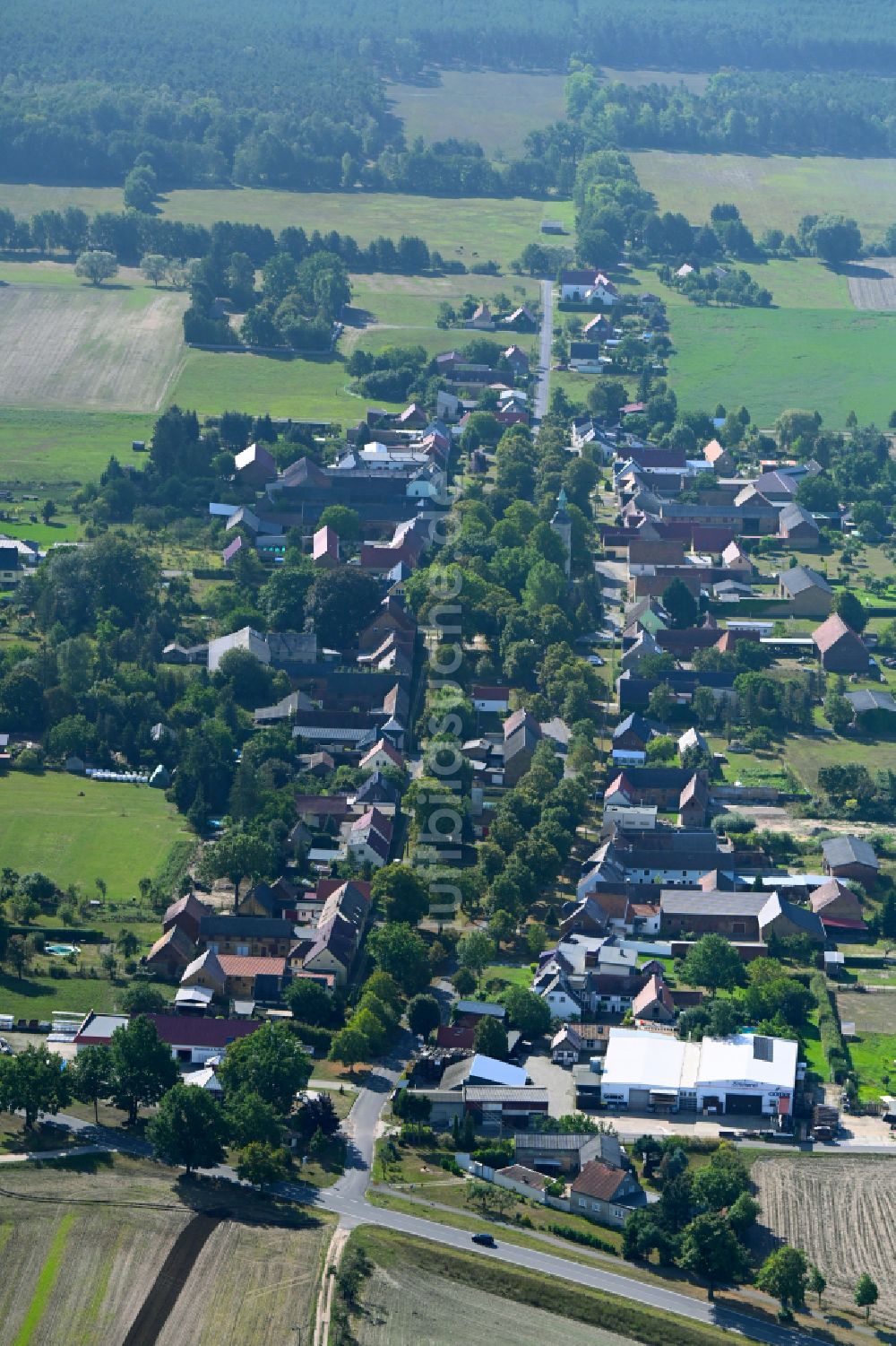 Luftaufnahme Betten - Ortsansicht entlang der Dorfstraße in Betten im Bundesland Brandenburg, Deutschland