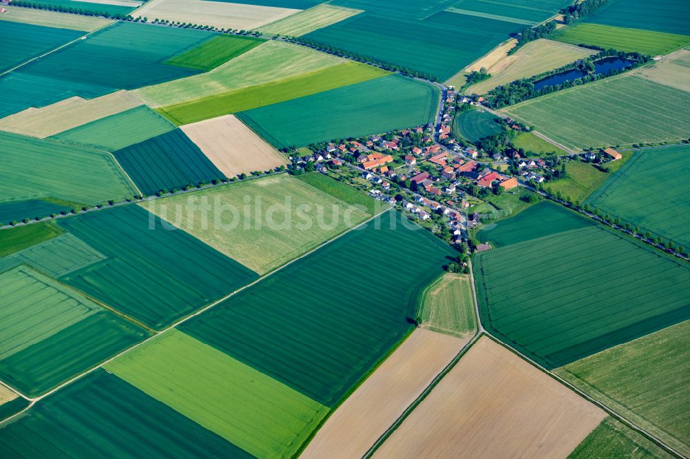 Luftaufnahme Schellerten - Ortsansicht in Farmsen im Bundesland Niedersachsen, Deutschland