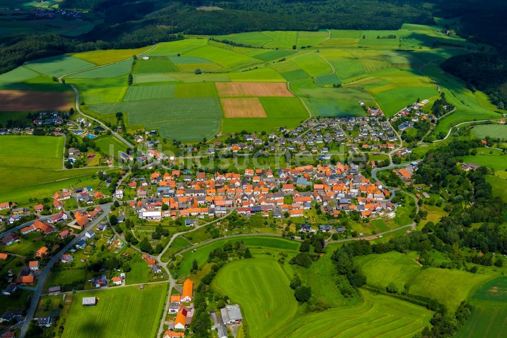 Freienhagen aus der Vogelperspektive: Ortsansicht in Freienhagen im Bundesland Hessen, Deutschland