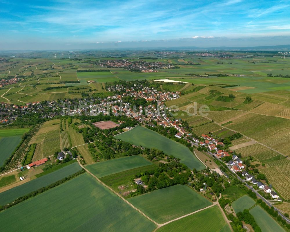 Luftbild Gau-Bischofsheim - Ortsansicht von Gau-Bischofsheim im Bundesland Rheinland-Pfalz