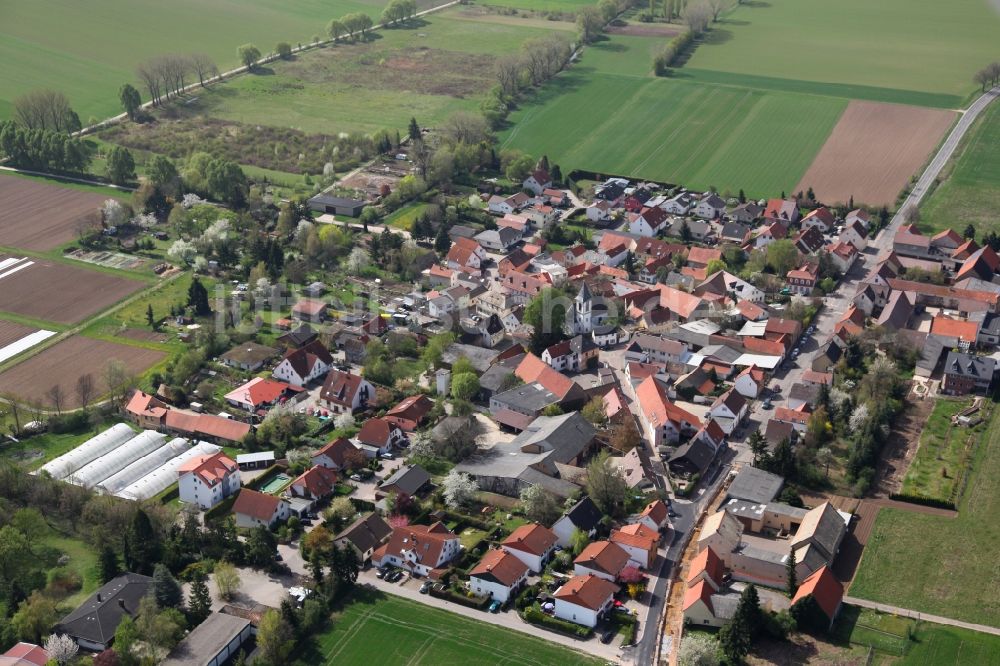 Luftbild Gau-Odernheim / Gau-Köngernheim - Ortsansicht von Gau-Köngernheim, einem Stadtteil von Gau-Odernheim im Bundesland Rheinland-Pfalz