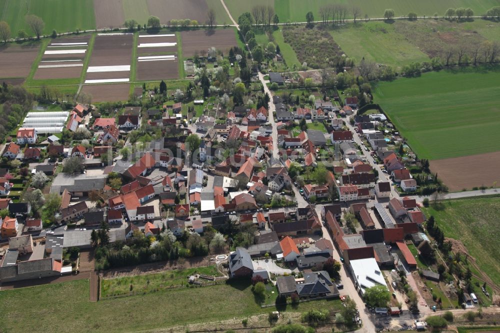 Luftaufnahme Gau-Odernheim / Gau-Köngernheim - Ortsansicht von Gau-Köngernheim, einem Stadtteil von Gau-Odernheim im Bundesland Rheinland-Pfalz