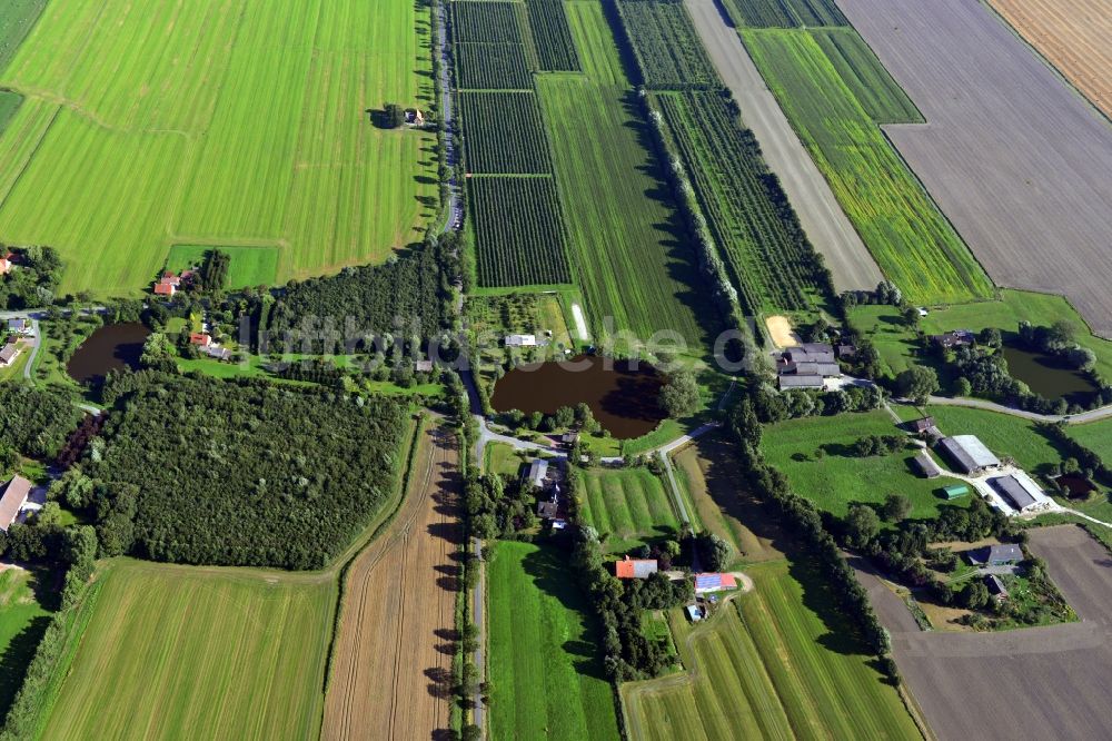 Hörne von oben - Ortsansicht mit Gehöften und Landwirtschaftsbetrieben in Hörne im Bundesland Niedersachsen