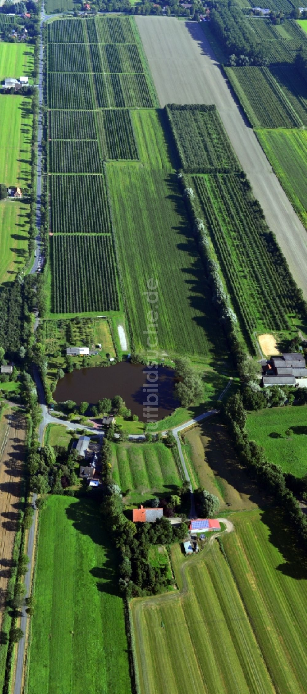 Hörne aus der Vogelperspektive: Ortsansicht mit Gehöften und Landwirtschaftsbetrieben in Hörne im Bundesland Niedersachsen