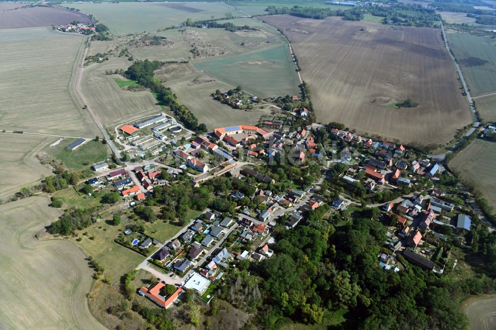 Gimritz aus der Vogelperspektive: Ortsansicht in Gimritz im Bundesland Sachsen-Anhalt, Deutschland