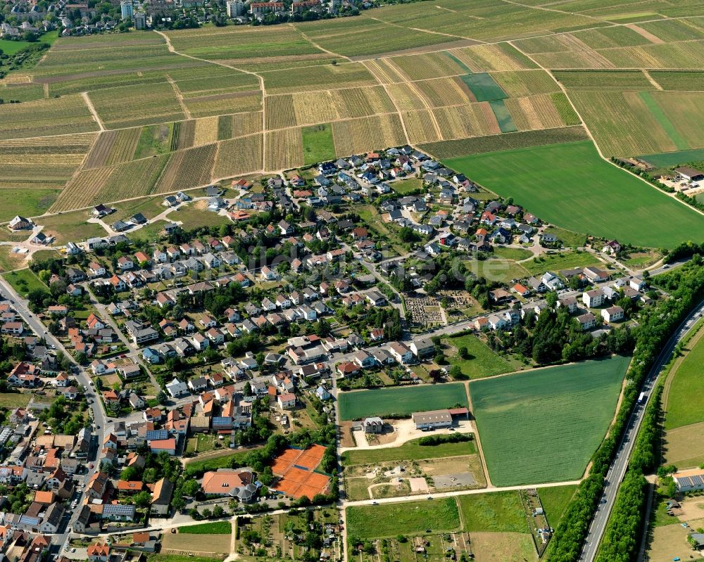 Luftbild Hackenheim - Ortsansicht von Hackenheim im Bundesland Rheinland-Pfalz