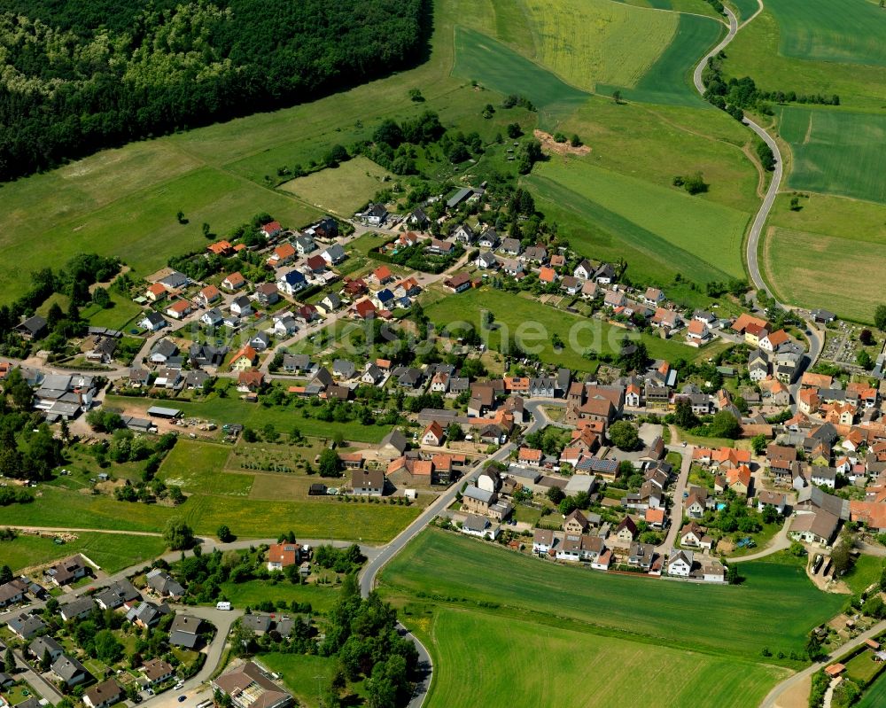 Hallgarten aus der Vogelperspektive: Ortsansicht von Hallgarten im Bundesland Rheinland-Pfalz