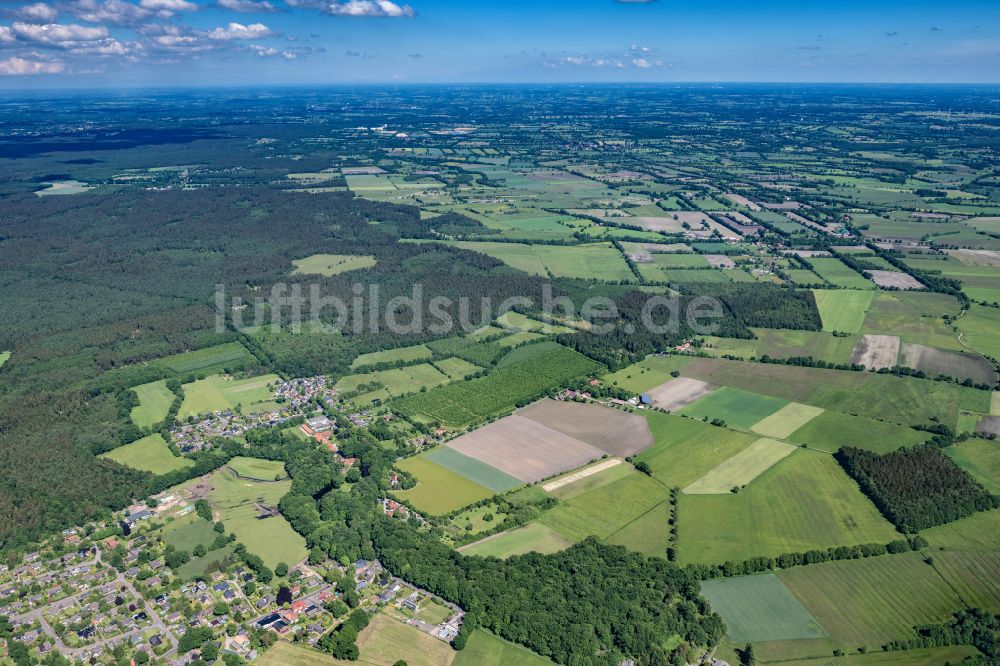 Hartenholm von oben - Ortsansicht in Hartenholm im Bundesland Schleswig-Holstein, Deutschland