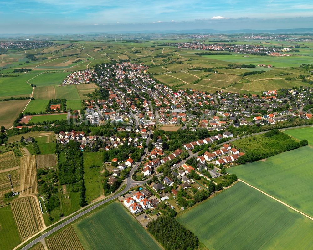 Harxheim von oben - Ortsansicht von Harxheim im Bundesland Rheinland-Pfalz