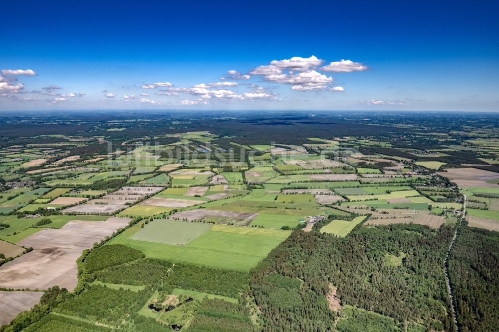 Luftaufnahme Hasenmoor - Ortsansicht in Hasenmoor im Bundesland Schleswig-Holstein, Deutschland