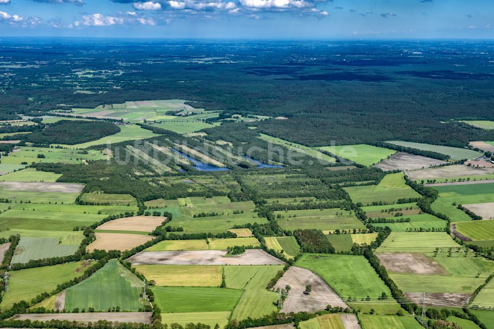 Hasenmoor aus der Vogelperspektive: Ortsansicht in Hasenmoor im Bundesland Schleswig-Holstein, Deutschland