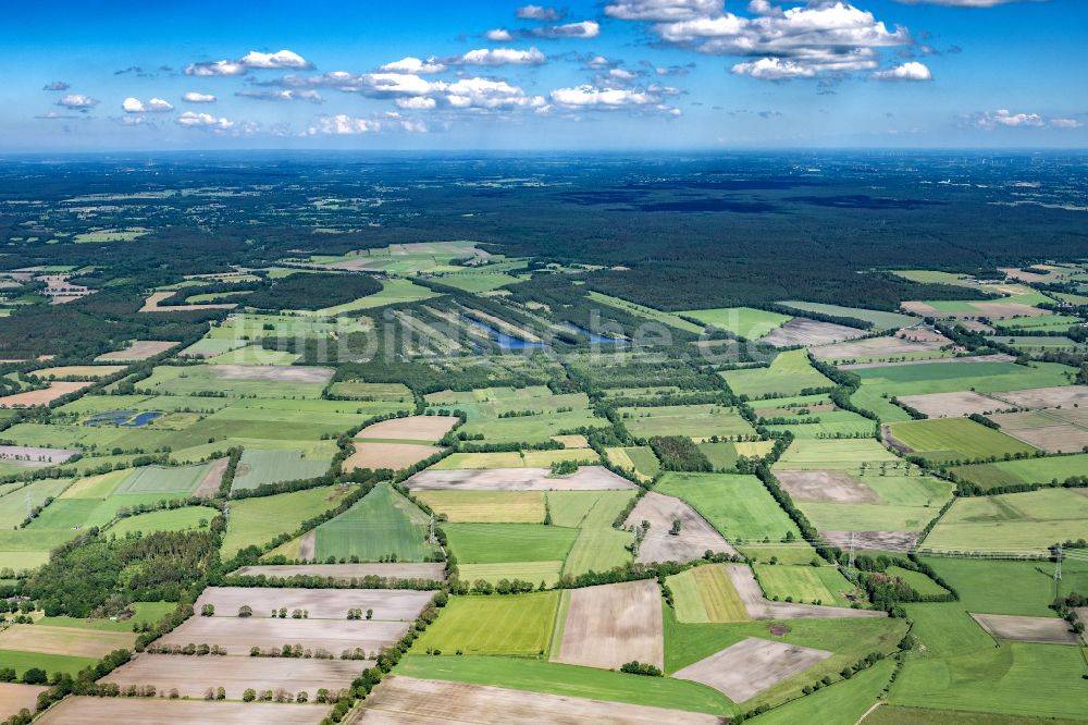 Luftbild Hasenmoor - Ortsansicht in Hasenmoor im Bundesland Schleswig-Holstein, Deutschland