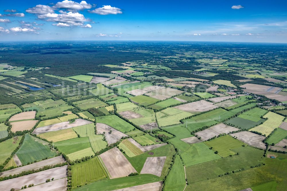 Luftaufnahme Hasenmoor - Ortsansicht in Hasenmoor im Bundesland Schleswig-Holstein, Deutschland