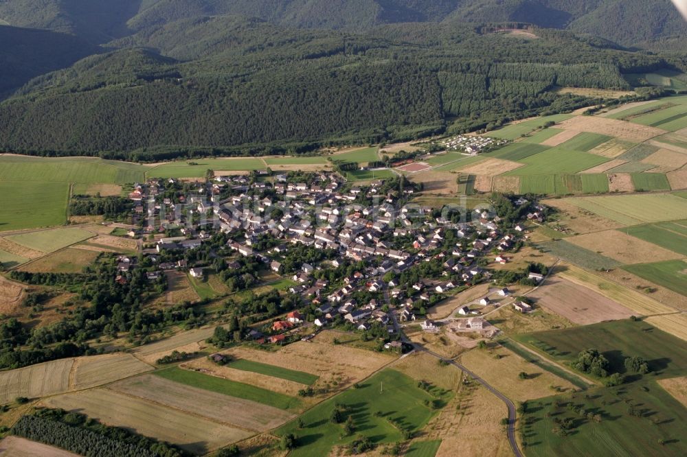 Heidenburg aus der Vogelperspektive: Ortsansicht von Heidenburg im Hunsrück im Bundesland Rheinland-Pfalz