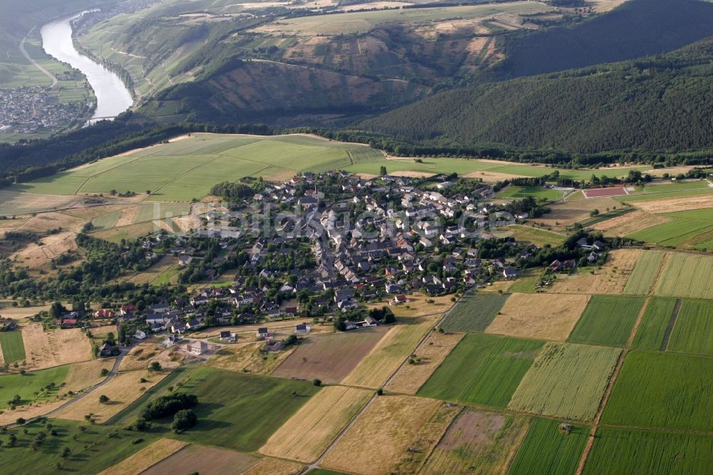 Luftbild Heidenburg - Ortsansicht von Heidenburg im Hunsrück im Bundesland Rheinland-Pfalz