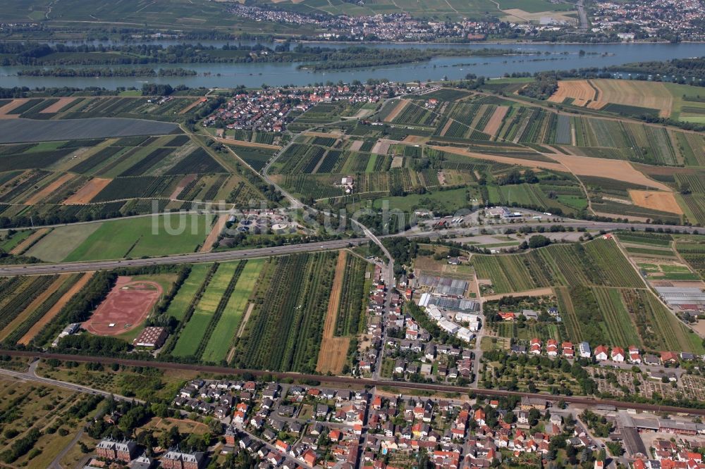 Heidesheim am Rhein aus der Vogelperspektive: Ortsansicht von Heidesheim am Rhein mit dem Ortsteil Heidenfahrt und dem Rhein im Bundesland Rheinland-Pfalz