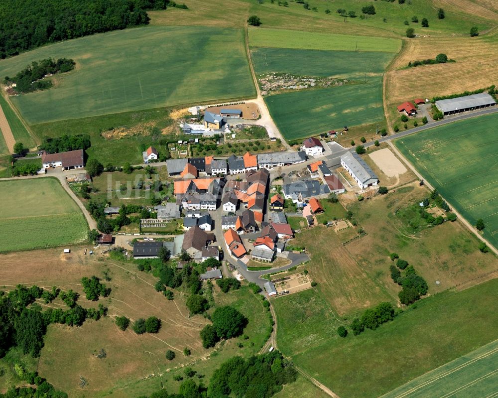 Luftbild Horbach - Ortsansicht von Horbach im Bundesland Rheinland-Pfalz