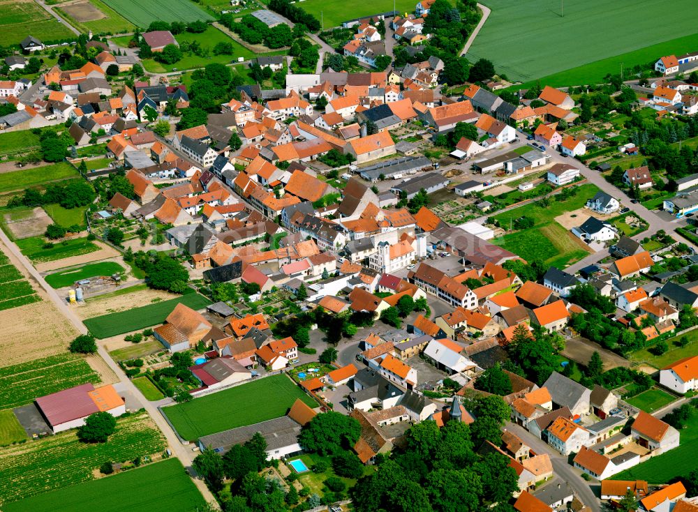 Ilbesheim aus der Vogelperspektive: Ortsansicht in Ilbesheim im Bundesland Rheinland-Pfalz, Deutschland