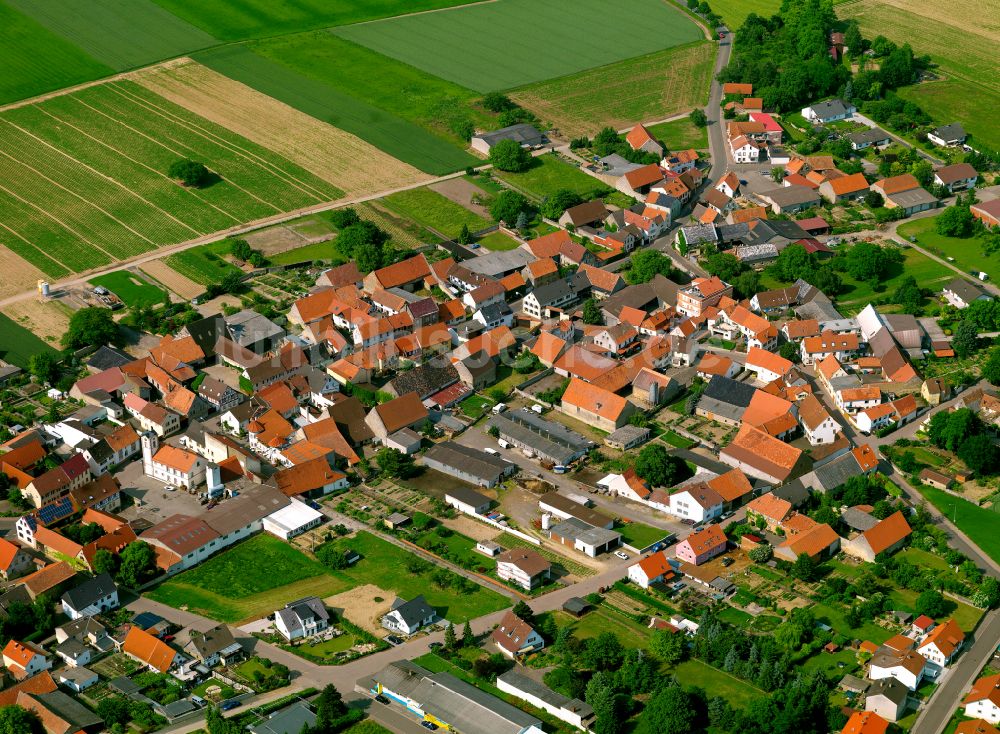 Luftbild Ilbesheim - Ortsansicht in Ilbesheim im Bundesland Rheinland-Pfalz, Deutschland