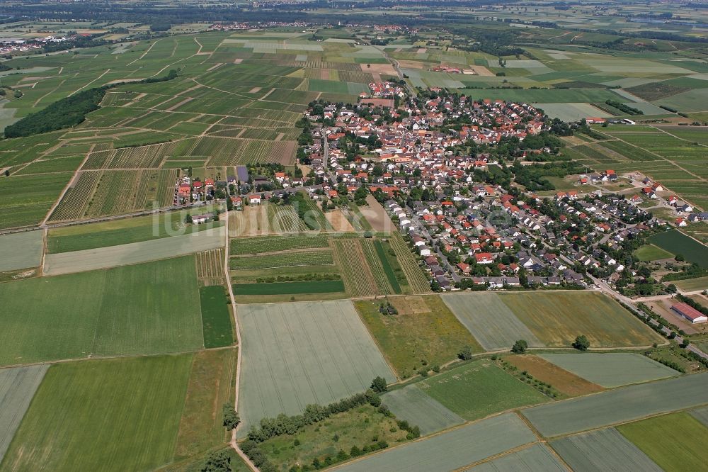 Luftbild Lörzweiler - Ortsansicht von Lörzweiler im Bundesland Rheinland-Pfalz