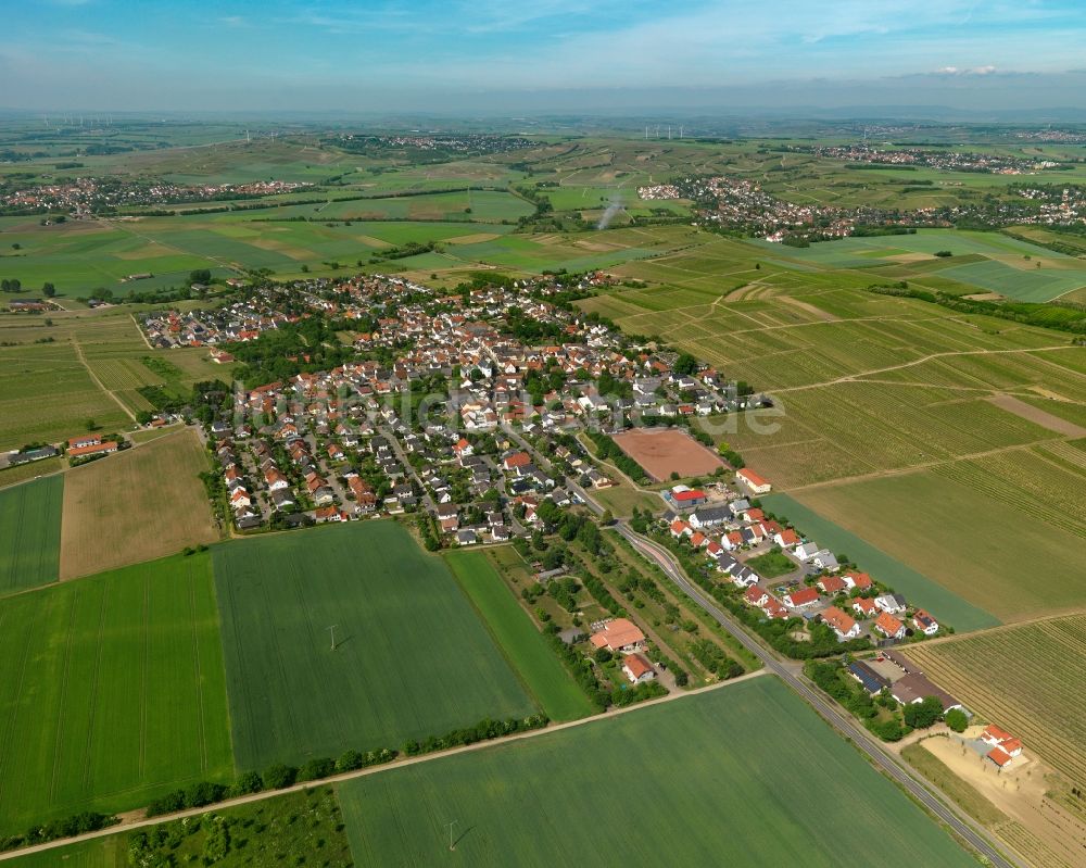 Luftbild Lörzweiler - Ortsansicht von Lörzweiler im Bundesland Rheinland-Pfalz