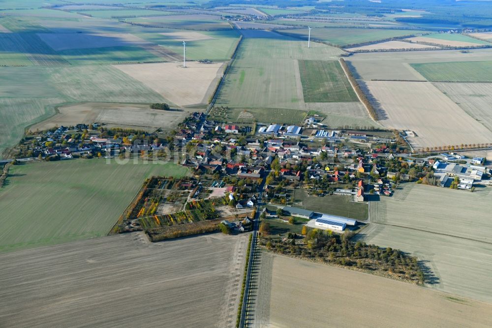 Marzahna von oben - Ortsansicht in Marzahna im Bundesland Brandenburg, Deutschland