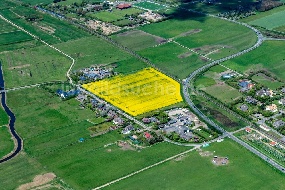 Keitum von oben - Ortsansicht an der Meeres-Küste in Keitum auf der Insel Sylt im Bundesland Schleswig-Holstein, Deutschland