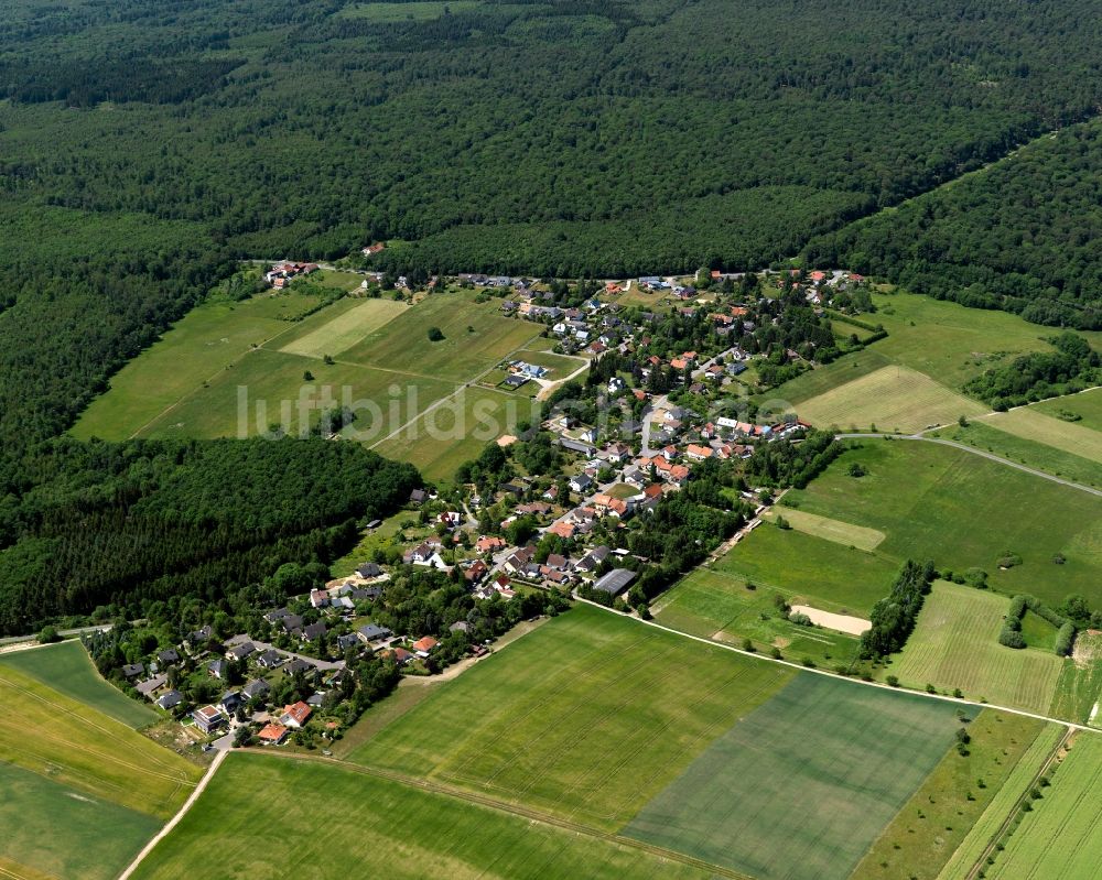 Münchwald aus der Vogelperspektive: Ortsansicht von Münchwald im Bundesland Rheinland-Pfalz