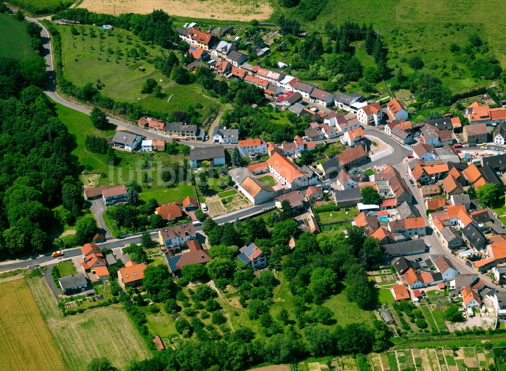 Luftaufnahme Münsterappel - Ortsansicht in Münsterappel im Bundesland Rheinland-Pfalz, Deutschland