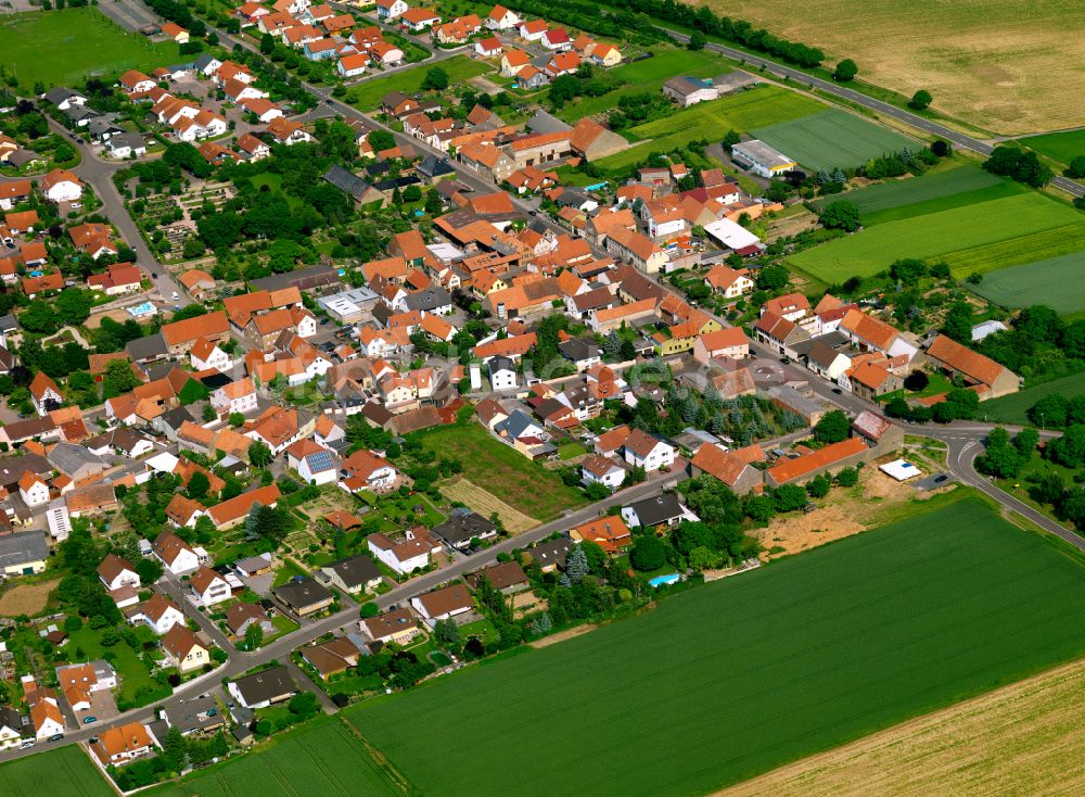 Morschheim aus der Vogelperspektive: Ortsansicht in Morschheim im Bundesland Rheinland-Pfalz, Deutschland