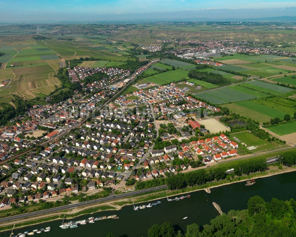 Luftaufnahme Nackenheim - Ortsansicht von Nackenheim im Bundesland Rheinland-Pfalz