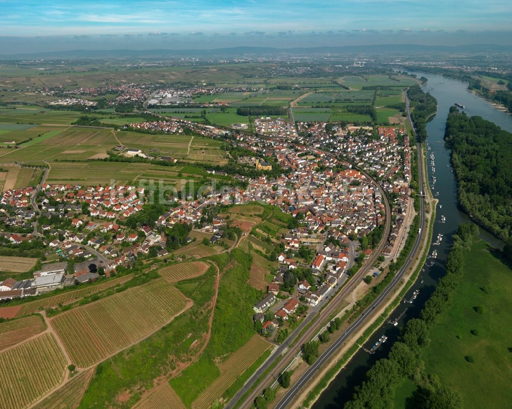 Nackenheim von oben - Ortsansicht von Nackenheim im Bundesland Rheinland-Pfalz