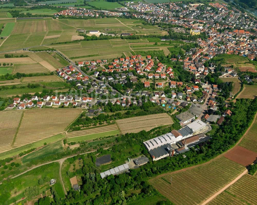 Nackenheim aus der Vogelperspektive: Ortsansicht von Nackenheim im Bundesland Rheinland-Pfalz