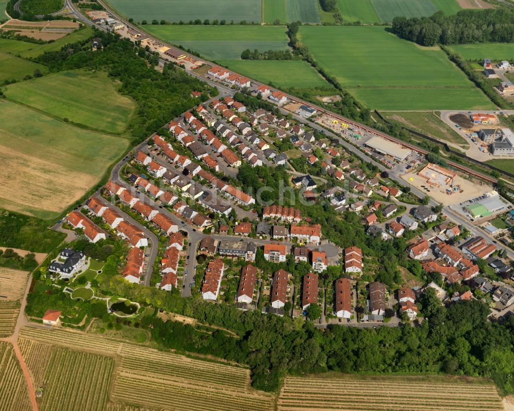 Nackenheim von oben - Ortsansicht von Nackenheim im Bundesland Rheinland-Pfalz