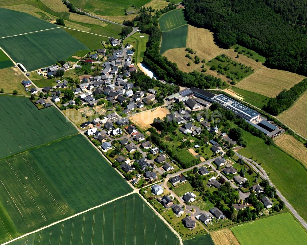 Luftaufnahme Niederkumbd - Ortsansicht in Niederkumbd im Bundesland Rheinland-Pfalz