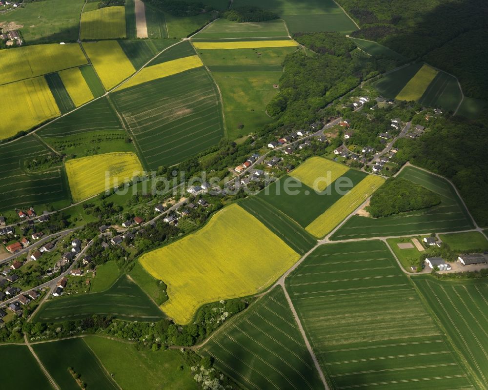 Luftaufnahme Niederzissen - Ortsansicht von Niederzissen im Bundesland Rheinland-Pfalz