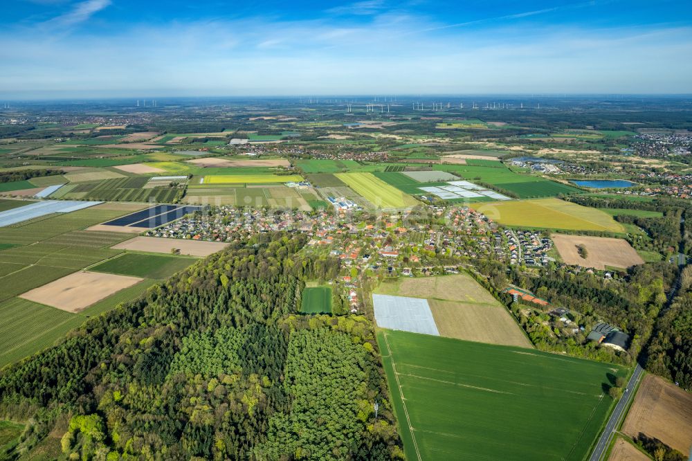 Nottensdorf aus der Vogelperspektive: Ortsansicht in Nottensdorf im Bundesland Niedersachsen, Deutschland