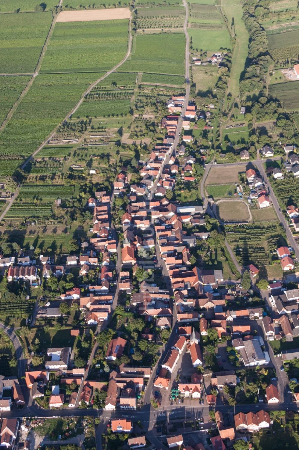 Luftbild Oberotterbach - Ortsansicht in Oberotterbach im Bundesland Rheinland-Pfalz, Deutschland